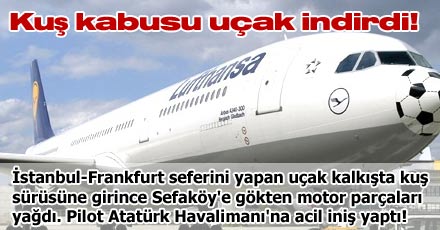Kuş kabusu uçak indirdi!