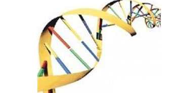 DNA'nın sırları çözülüyor