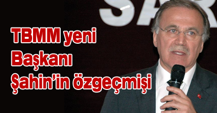 Mehmet Ali Şahin'in özgeçmişi