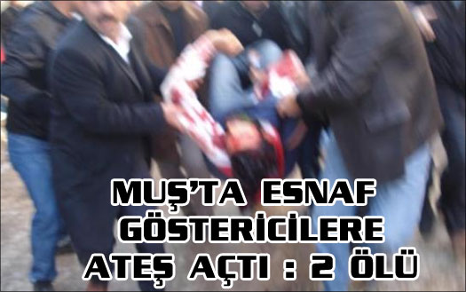 Muş karıştı: 2 ölü