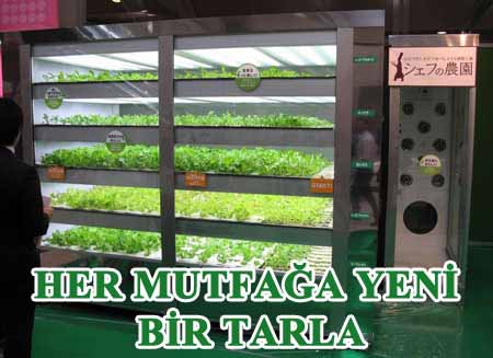 Taze sebze yetiştirebilen mini tarlalar icat edildi.