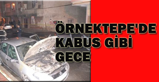 Örnektepe'de 6 aracı birden yaktılar