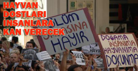 Hem hayvan, hem insan seviyorlar