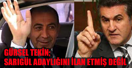 Tekin “Sarıgül adaylığını ilan etmiş değil“