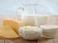 Probiyotik Nedir?