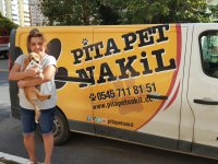 Pet Taksi İle Ulaşıma Çözüm