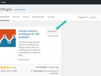 Wordpress google analytics pluginleri