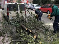 İstanbul’daki fırtına Şişli’de yine bir ağacı devirdi
