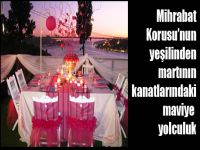 Mihrabat Korusu’nun yeşilinden martının kanatlarındaki maviye yolculuk