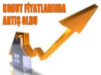 Konut fiyatlarında artış