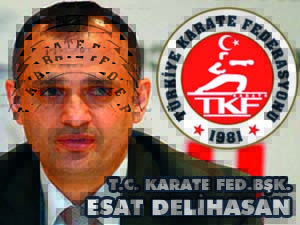 15 TEMMUZ DEMOKRASİ ŞEHİT VE GAZİLERİ TÜRKİYE KARATE KUPASI
