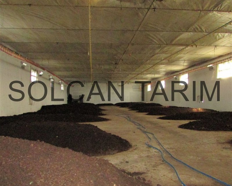 Solucan Gübresi