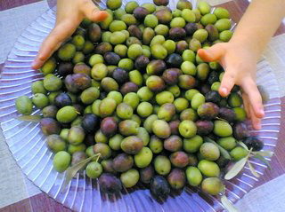 Zeytin suyu tozu altın fiyatını solladı