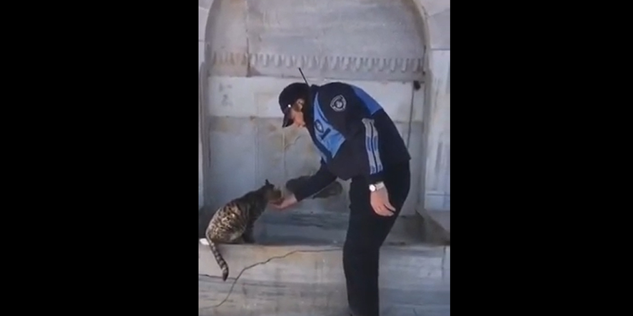 Ekrem İmamoğlu: 'Kediler de İstanbul'da mutlu'