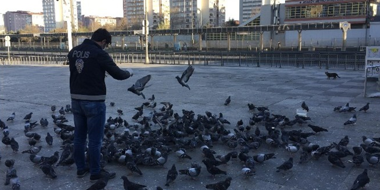 İstanbul’daki yasakta, güvercinleri polis besledi
