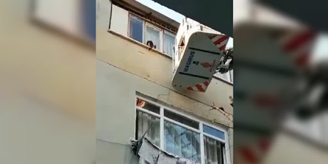 İtfaiye, kediyi atlama çadırı ile kurtardı