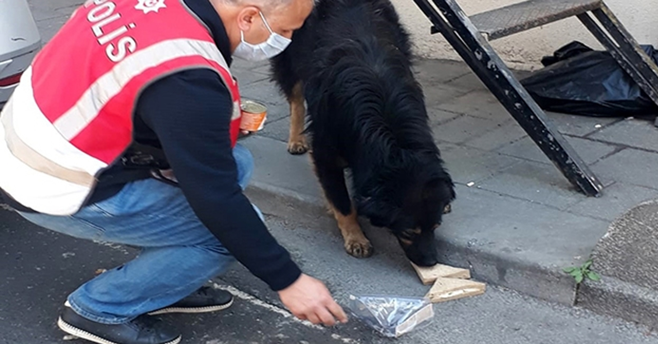 Polis, iftarlık kumanyasını sokak köpeğiyle paylaştı