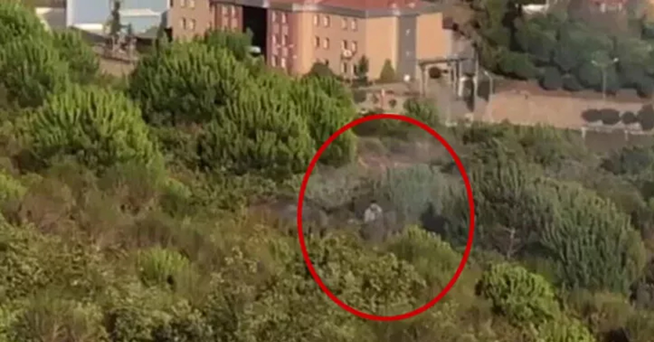 Pendik’teki Aydos ormanını yakan teröristin cezası belli oldu