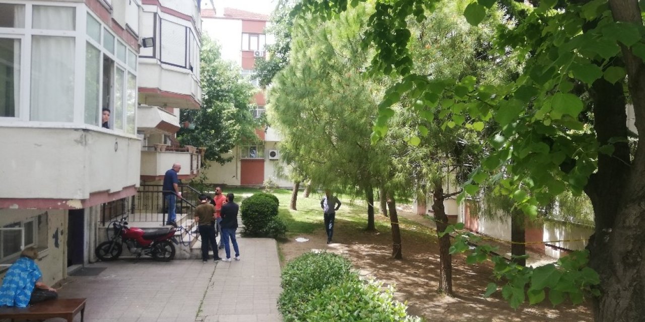 İstanbul'da yeni doğmuş bir kız bebeğinin cesedi bulundu