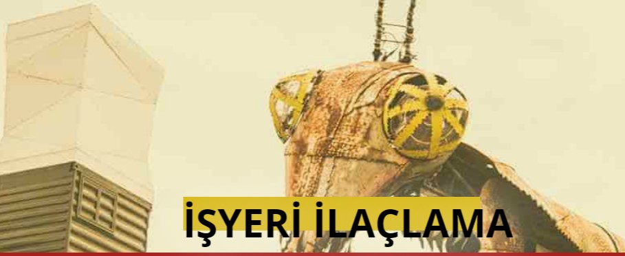 Böcek İlaçlama Nedir?