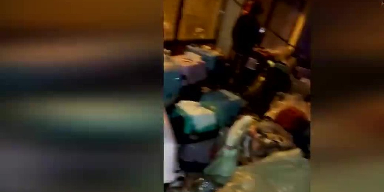 Şişli İzzetpaşa’da 57 kedi operasyonla kurtarıldı!