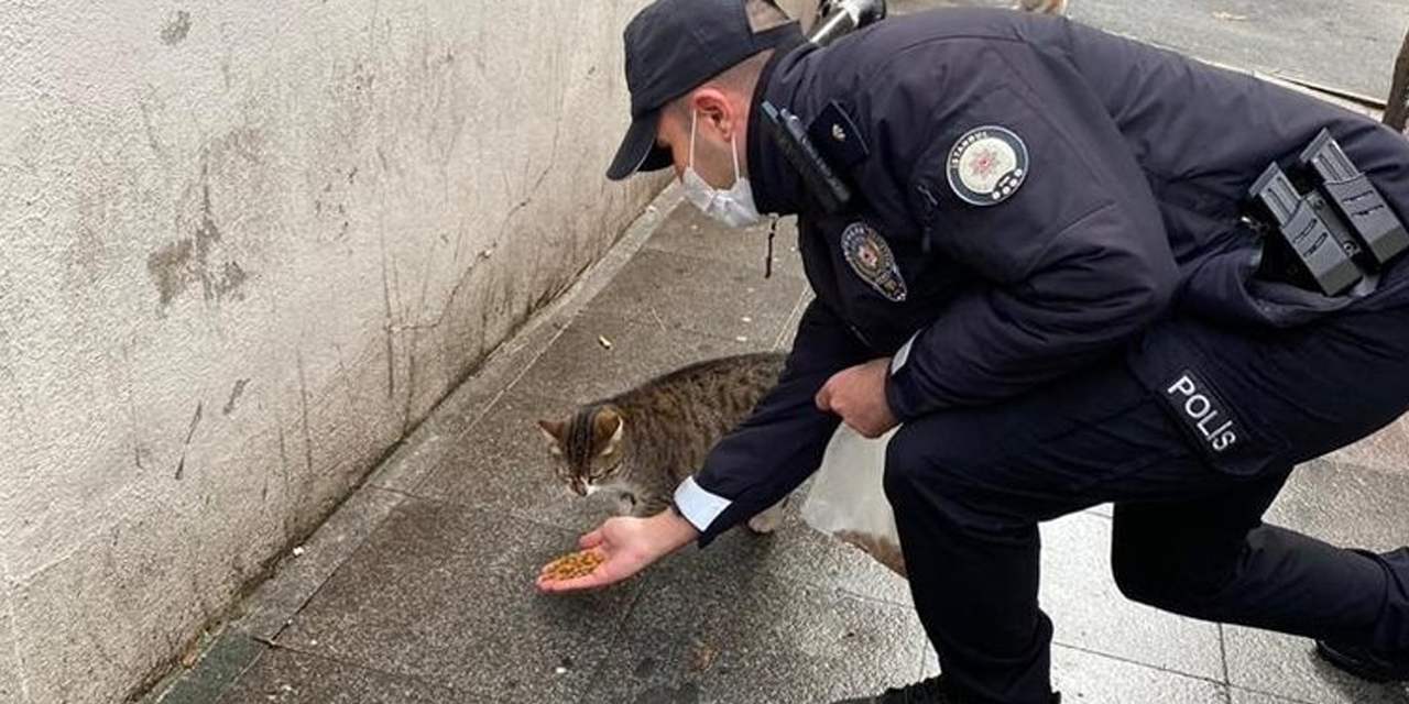 Şişli Emniyeti, sokak hayvanlarını yalnız bırakmadı!