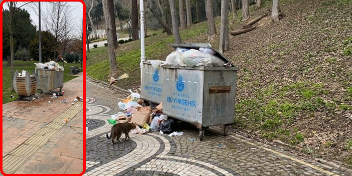 Şişli Maçka Parkı’ndaki toplanmayan çöplere vatandaşlar tepki gösterdi!