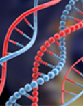 Akıllı DNA yaptılar