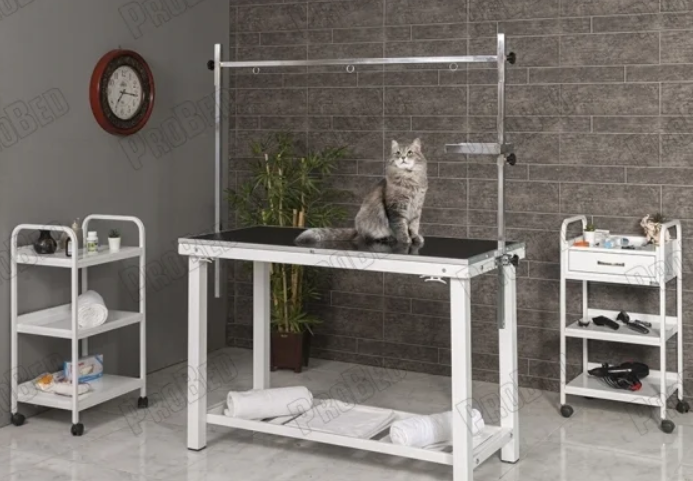 Pet Bakım Masası