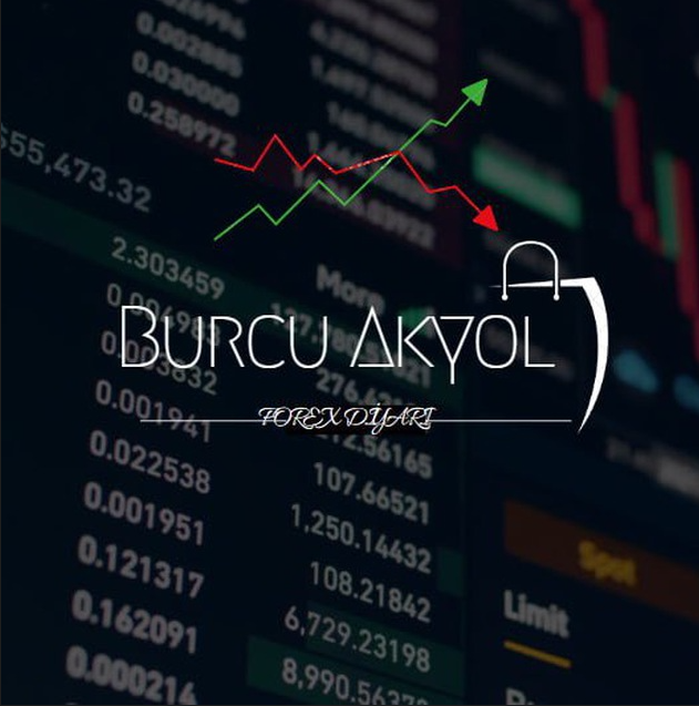 Uzman Ekonomist Burcu Akyol