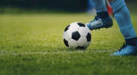 Sındırgı’da başpehlivan