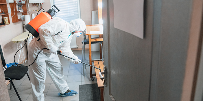 Kartal Böcek İlaçlama Hizmetleri Neden Tercih Edilmelidir?