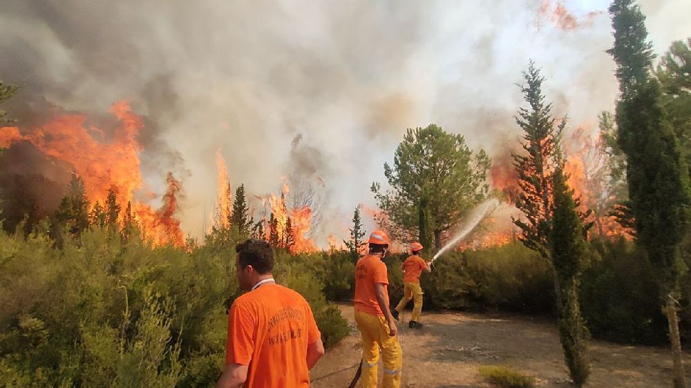 Antalya'nın Kaş İlçesinde Orman Yangını Kontrol Altına Alındı