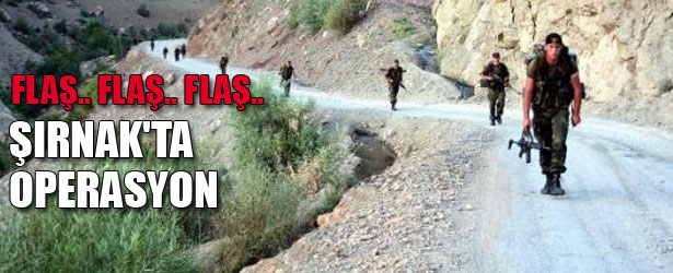 ŞIRNAK’TA OPERASYON