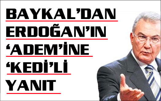 'Kaçan suçlu kedidir'