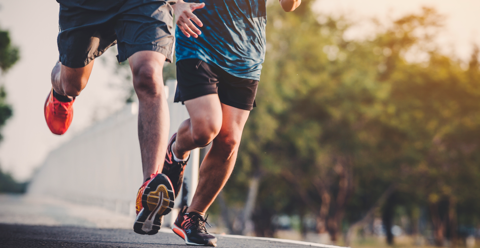 Spor Bilinci ve Eğitim: Kaseys Last Line