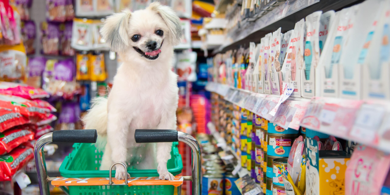 Türkiye’nin Online Pet Shop Mağazası: Evcilal