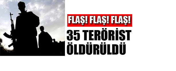 35 TERÖRİST ÖLDÜRÜLDÜ