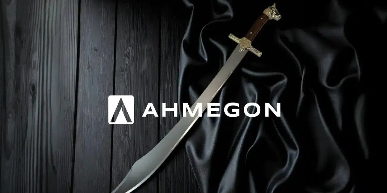 Samuray Kılıçlarının Zarafeti: Ahmegon’un Modern Koleksiyonu