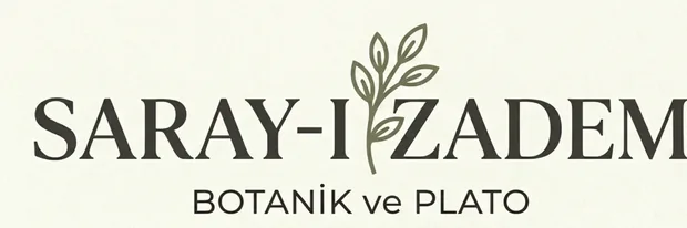 EVİNİZDE DOĞAL ZARAFET: ÇİÇEKLİ BİTKİLER İLE FARK YARATIN