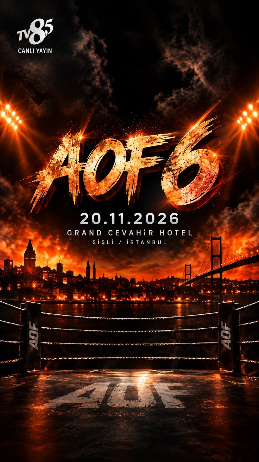 Dövüş Dünyasının Gözü İstanbul’da: Army of Fighters 6 İle Ringde Tarihi Geceye Doğru