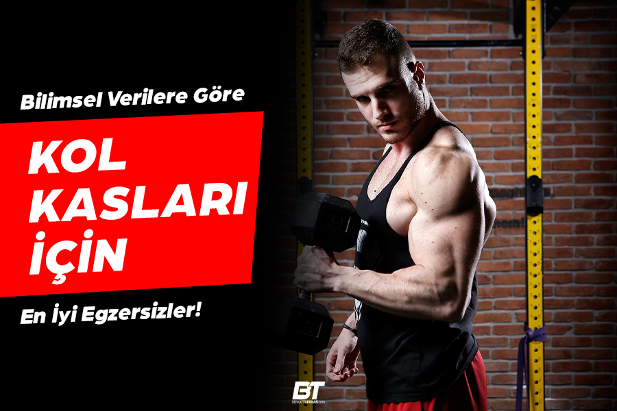 Güçlü Kollar İçin Dengeli Antrenman: Nereden Başlamalı?