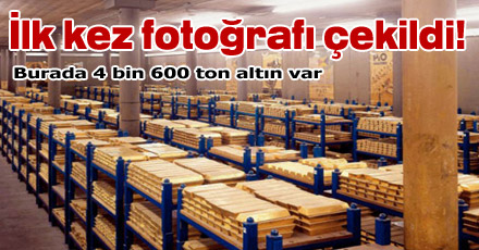 İlk kez fotoğrafı çekildi