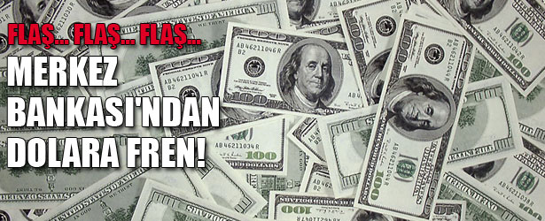 MERKEZ BANKASI’NDAN DOLARA FREN
