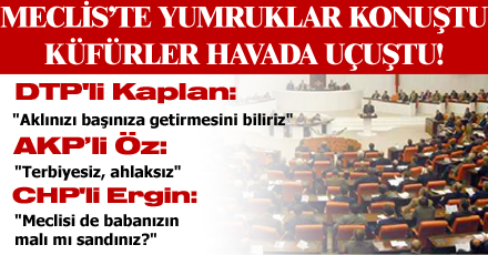 Meclis'te yumruklar konuştu!
