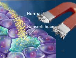 Kanserin şifresi çözüldü