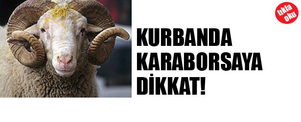 KURBANDA KARABORSAYA DİKKAT