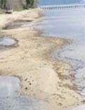 Erdek'te deniz 50 metre çekildi
