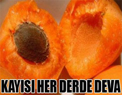 Kayısı her derde deva