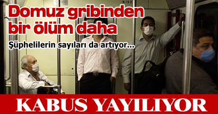 Domuz gribinden bir ölüm daha